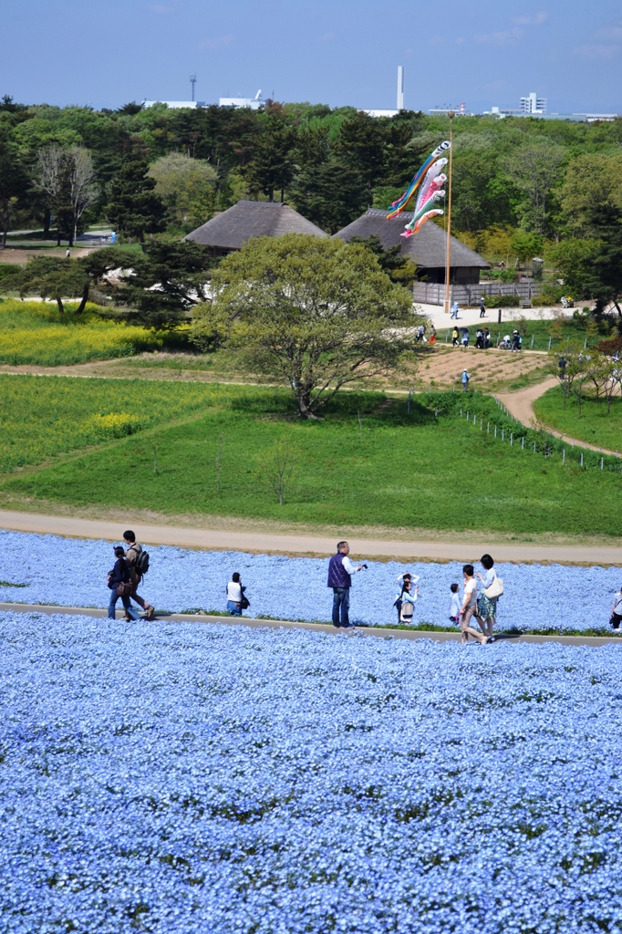 5月の風景