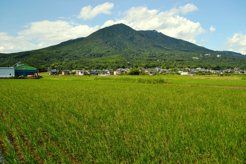 夏模様の筑波山