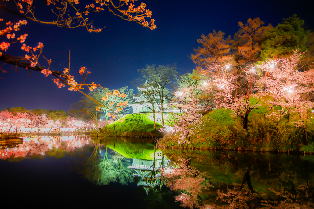 高田城夜桜