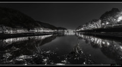 bw1