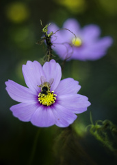 DSC_1620-Edit