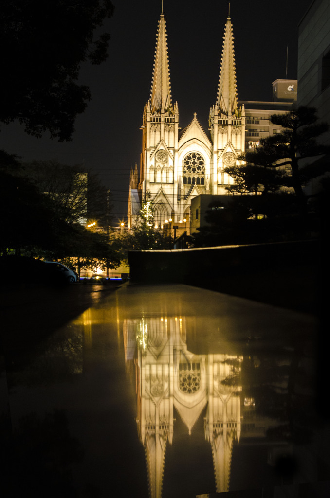 DSC_0272
