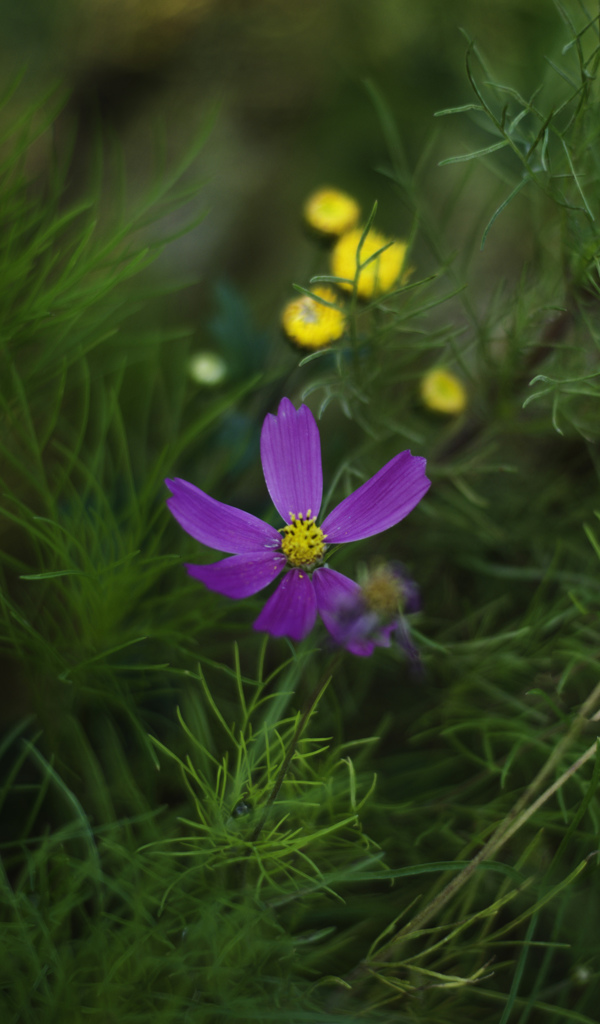 DSC_1622-Edit