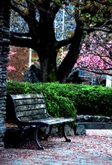 井原公園