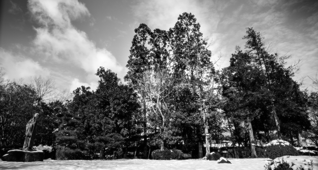 _DSC6197
