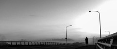 DSC_0184t