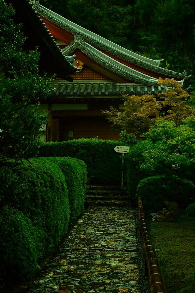 鈴蟲寺③