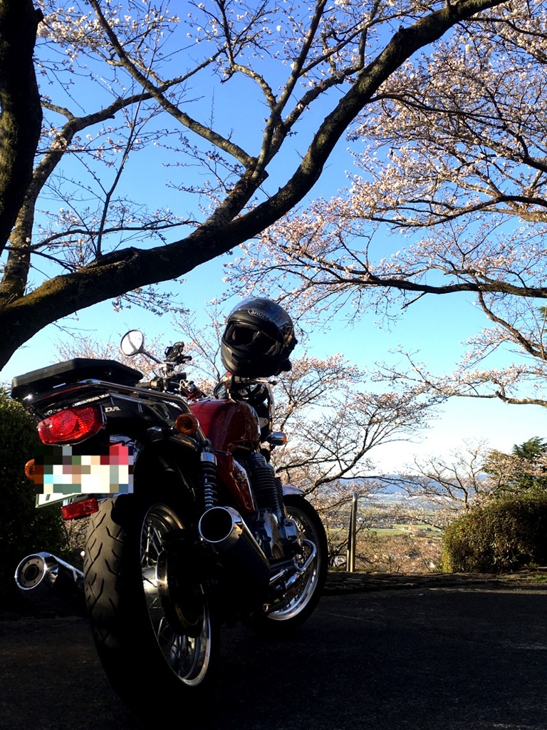 2016 春間近