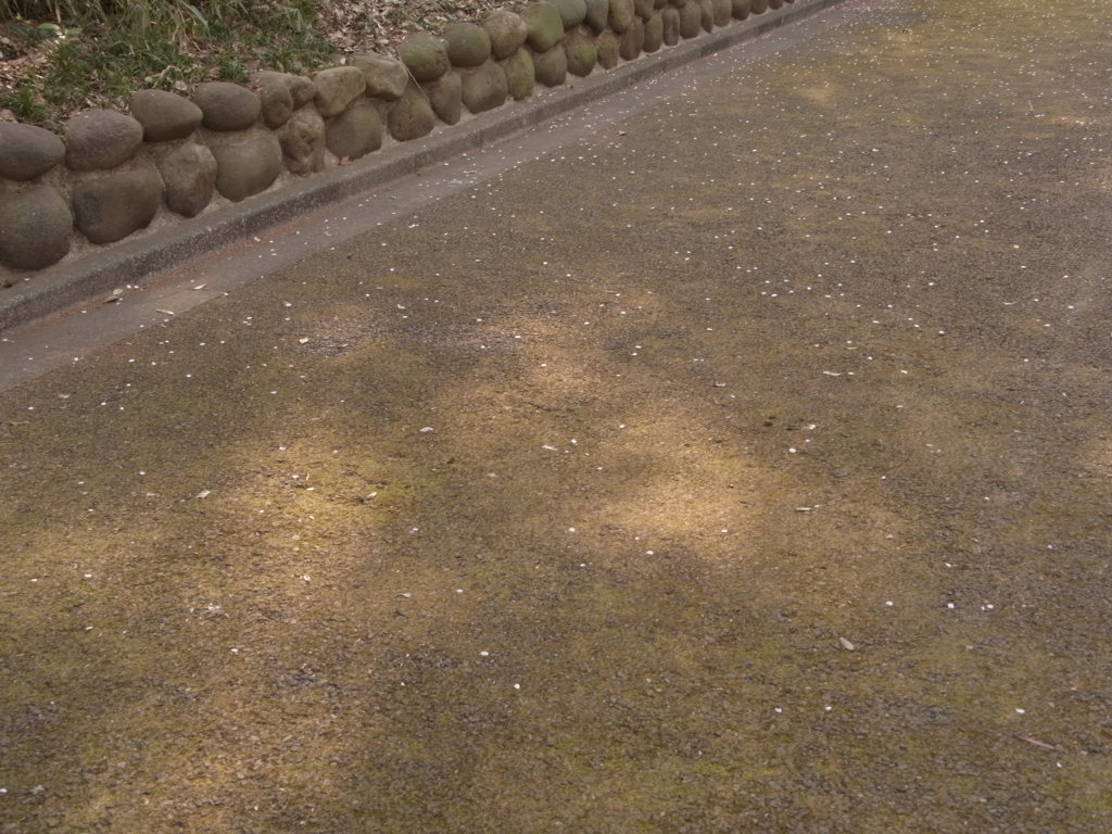 やわらぎ