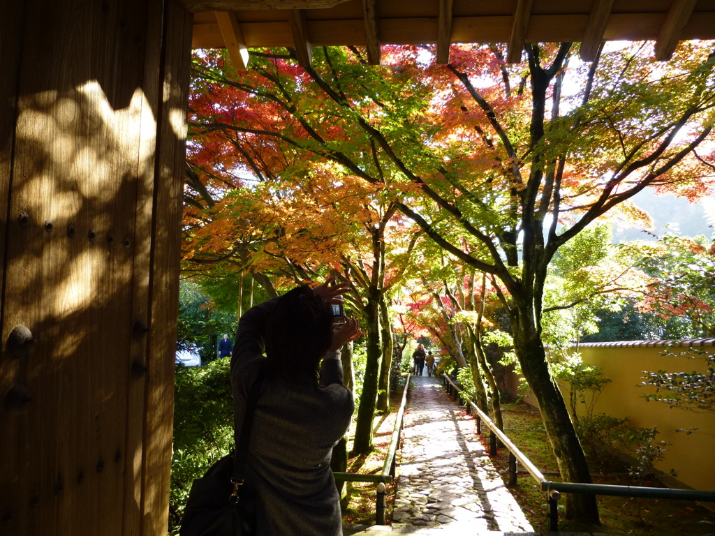 夢の通い路