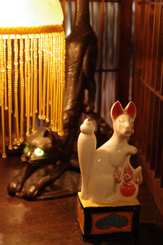 狐と猫と電灯