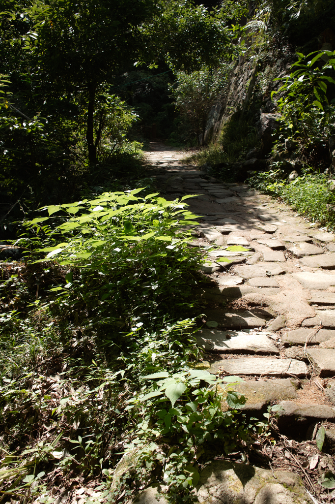 山道