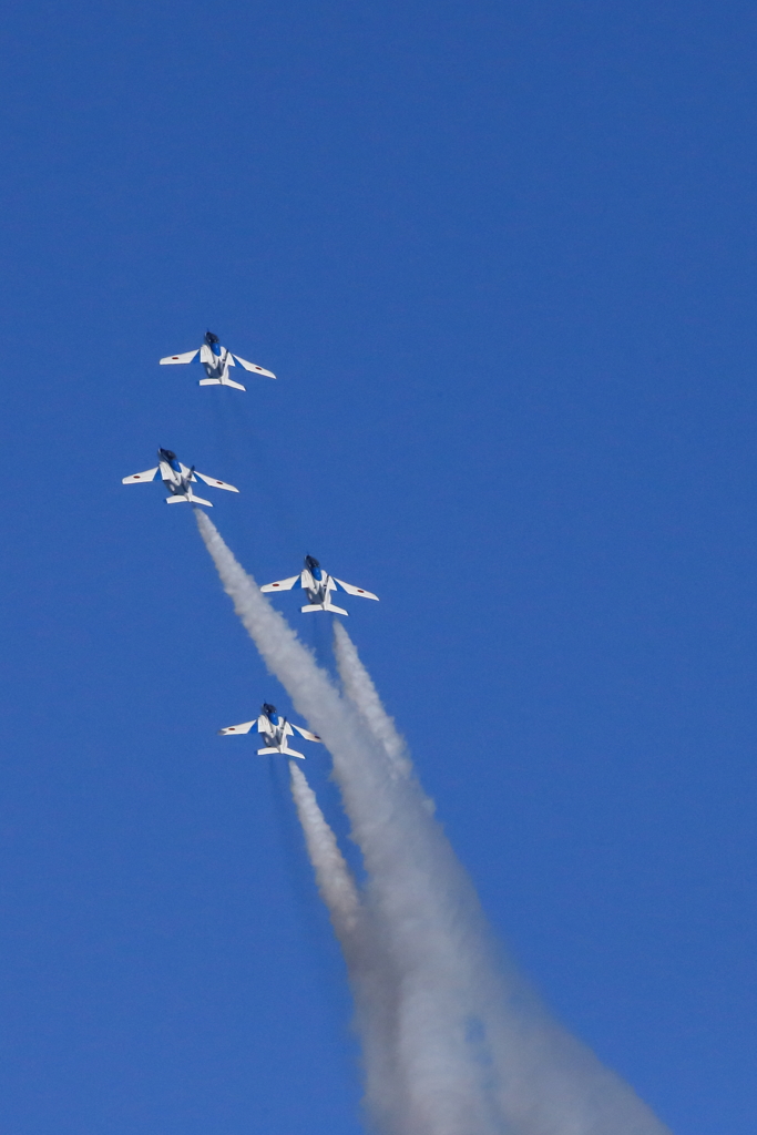入間基地航空祭2017 ブルーインパルス展示飛行(第1区分)(21)