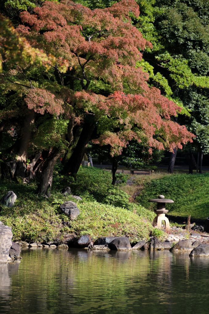 小石川後楽園