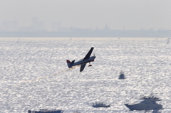Redbull Air Race in Chiba(15)