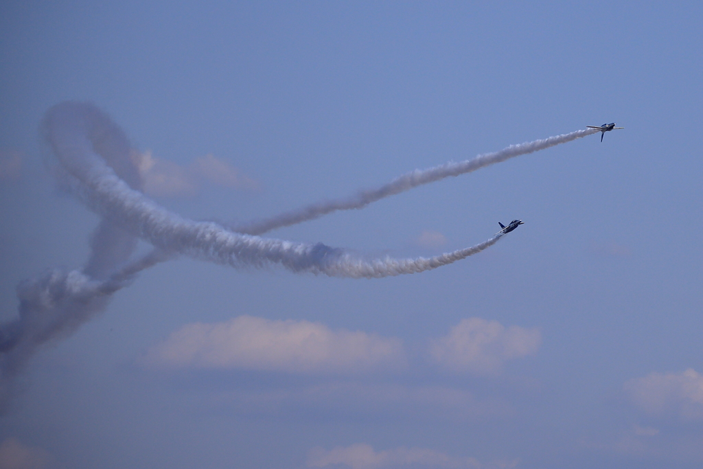 入間航空祭 2018(21)