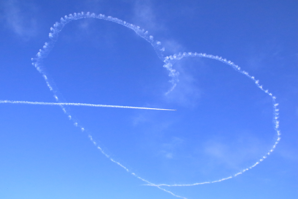 入間基地航空祭2017 ブルーインパルス展示飛行(第1区分)(58)