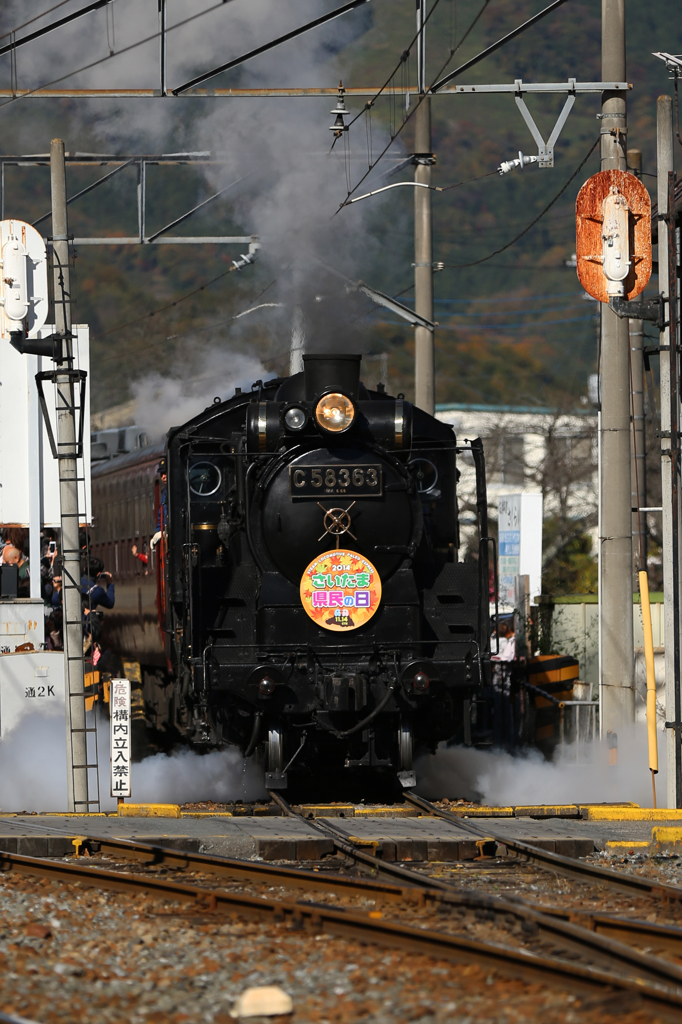 秩父鉄道SL　埼玉県民の日記念ヘッドマーク(1)