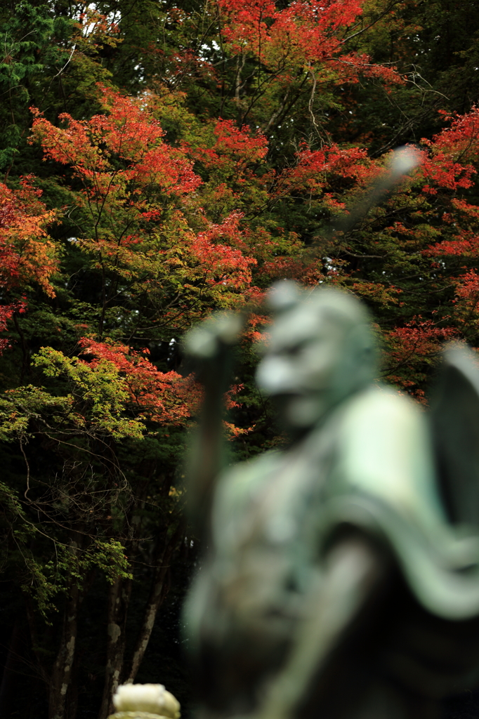 高尾山の紅葉 2015(7)