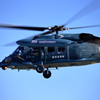入間基地航空祭　2015(31)