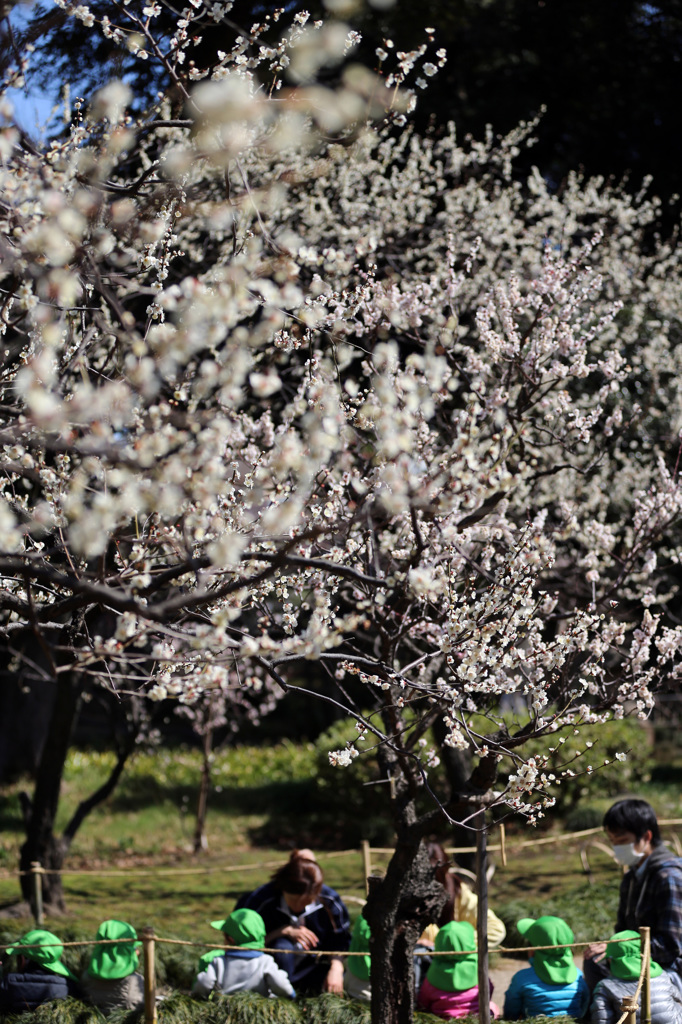 小石川後楽園にて