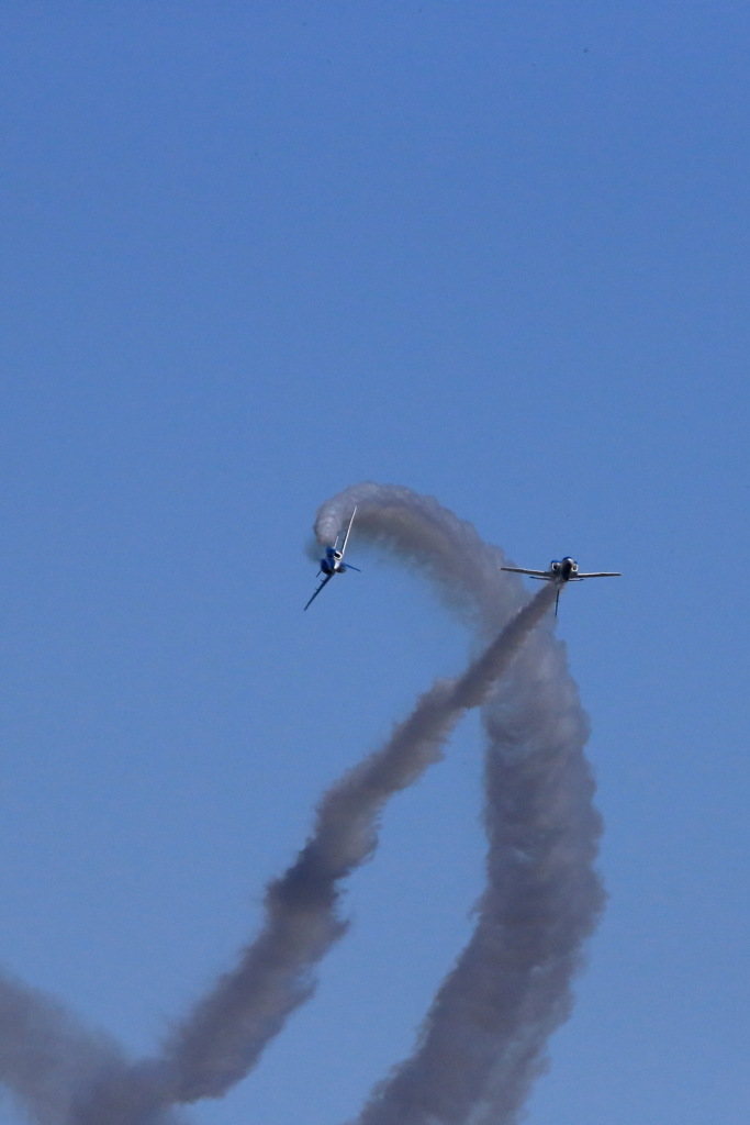 入間基地航空祭2017 ブルーインパルス展示飛行(第1区分)(56)