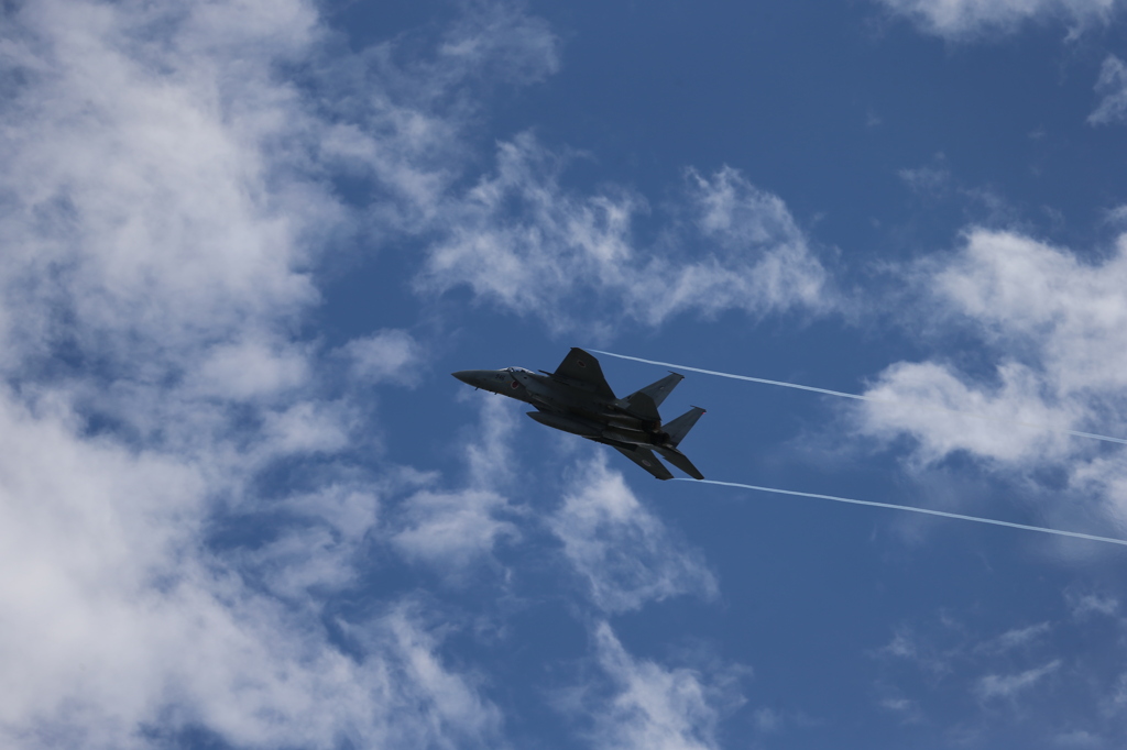 F-15J 第303飛行隊　機動飛行