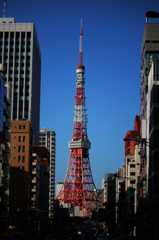 青空に映える東京タワー全景
