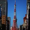 青空に映える東京タワー全景