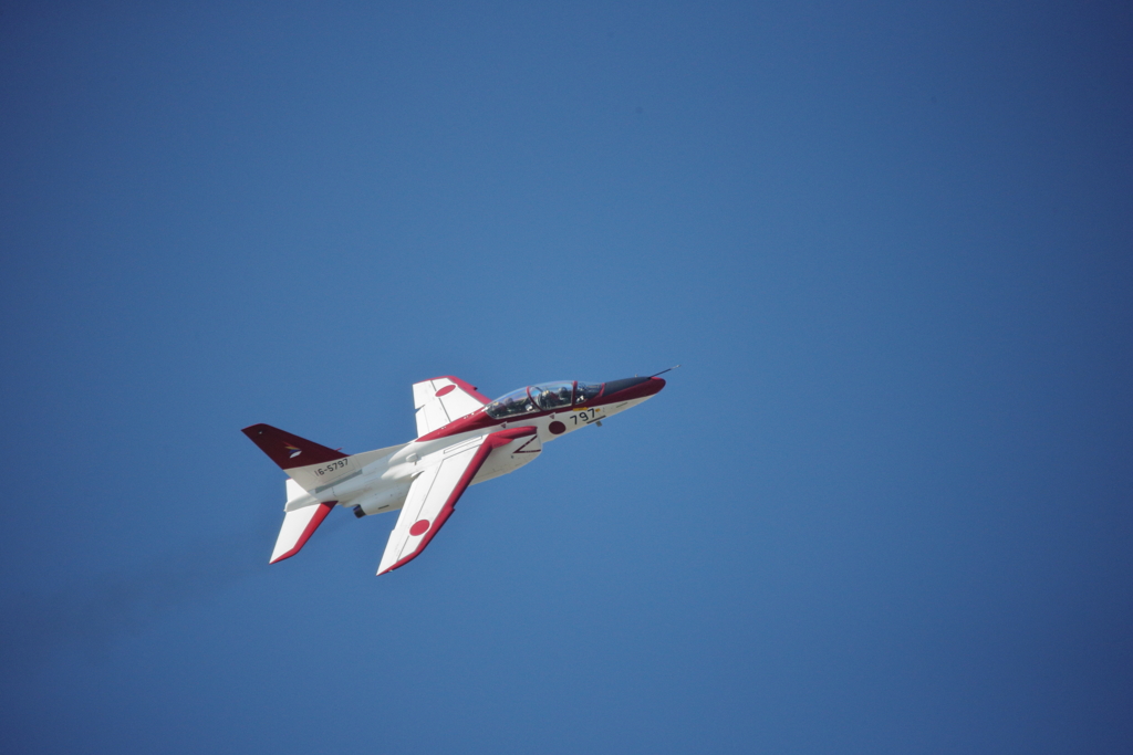 入間航空祭 2018(30)