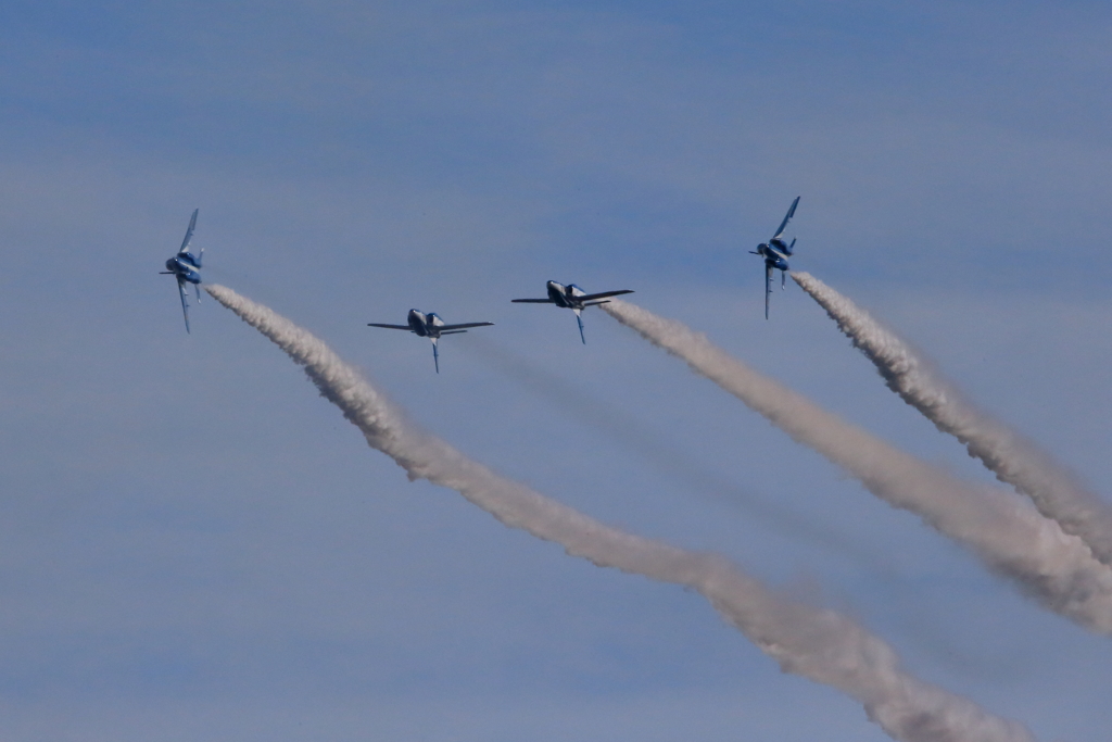 入間基地航空祭2017 ブルーインパルス展示飛行(第1区分)(29)