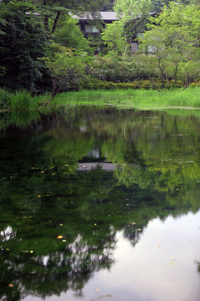 軽井沢・雲場池