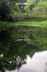 軽井沢・雲場池