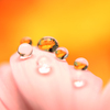 花としずく(3)