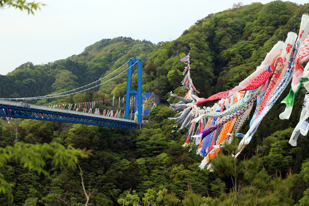 竜神峡鯉のぼりまつり 1 By Typer00 Id 写真共有サイト Photohito