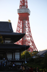 時代の交錯-増上寺と東京タワー
