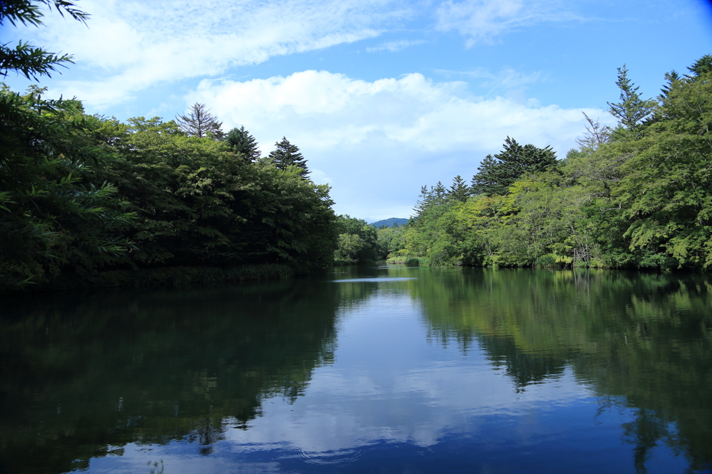雲場池(1)