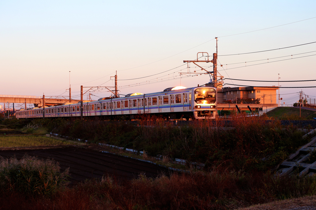 夕日に映える川越線