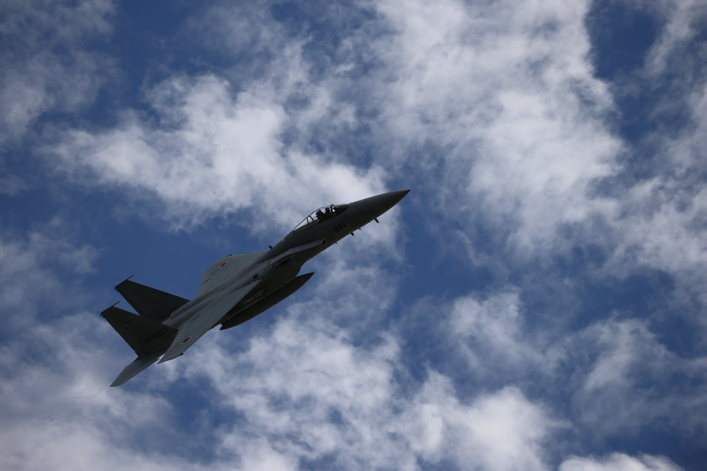 F-15J 第303飛行隊　機動飛行