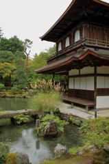 すすきと銀閣寺