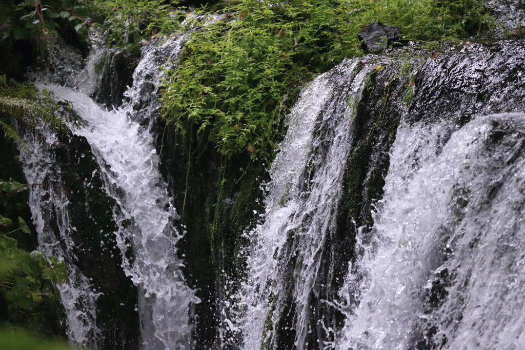 白糸の滝(2)