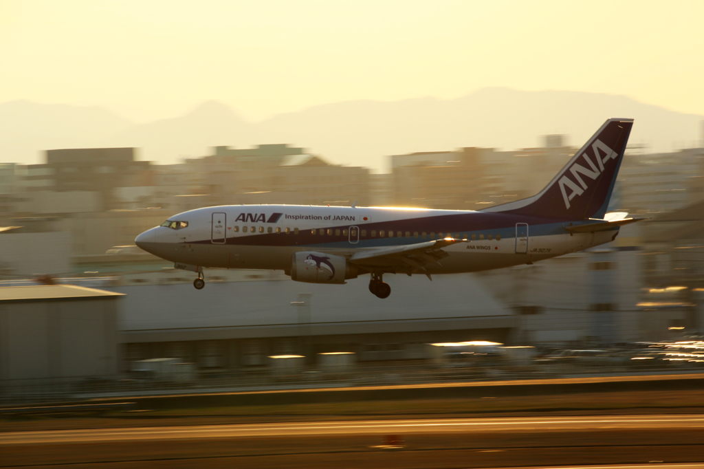 福岡空港の展望デッキから(3)