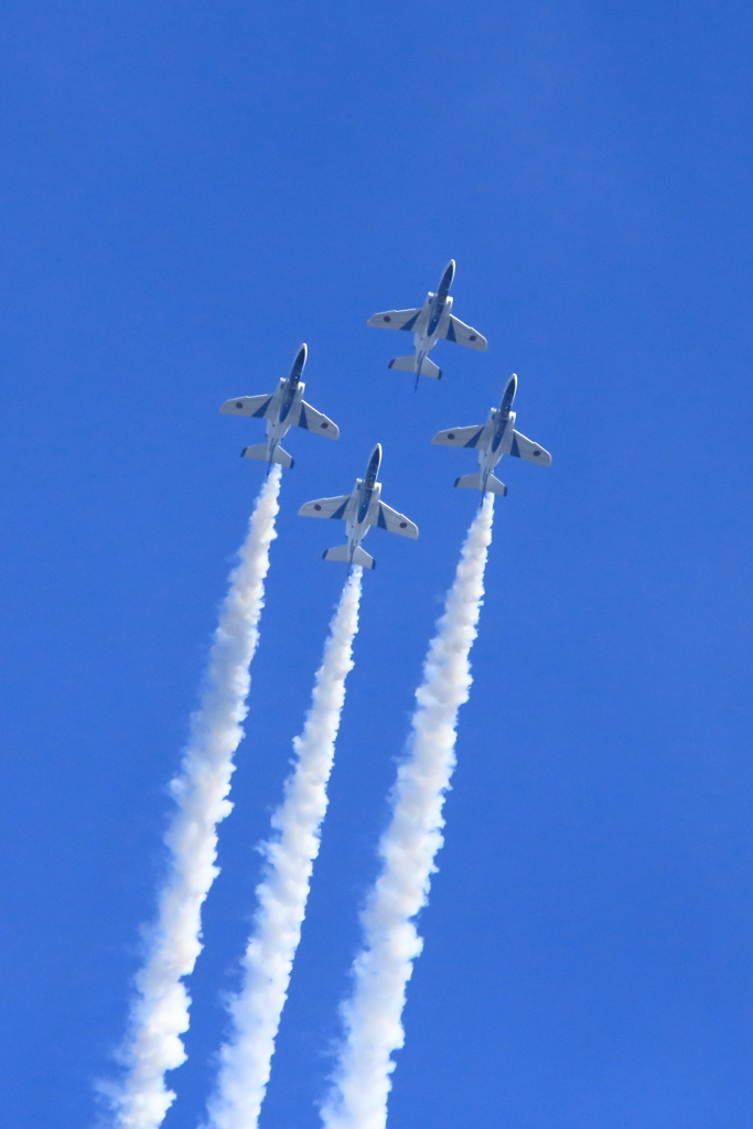 入間基地航空祭2017 ブルーインパルス展示飛行(第1区分)(22)