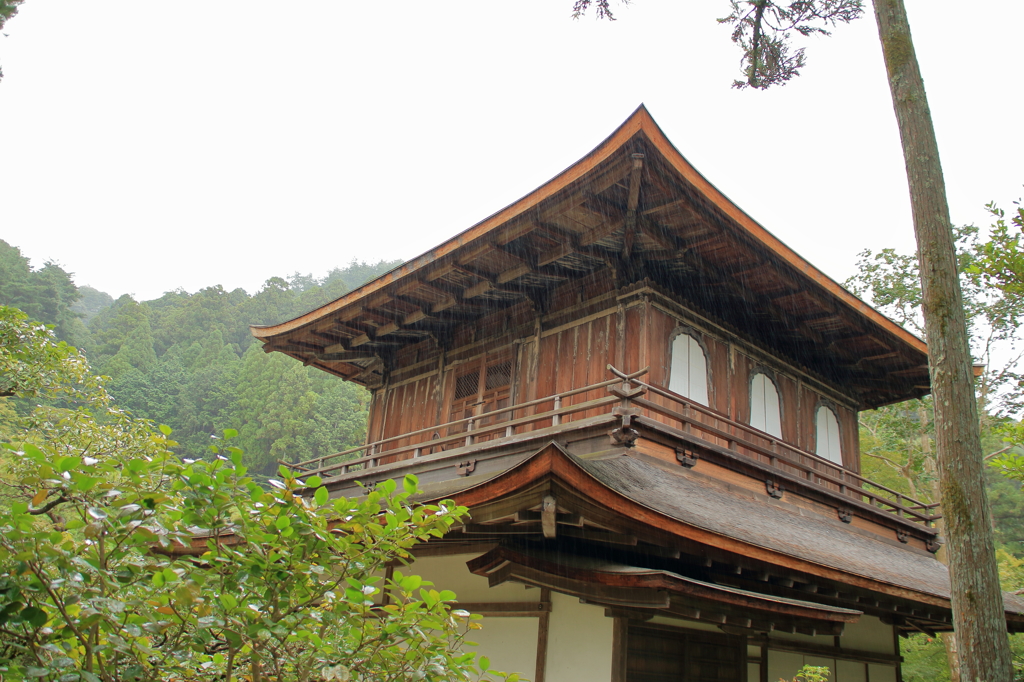 雨の銀閣寺