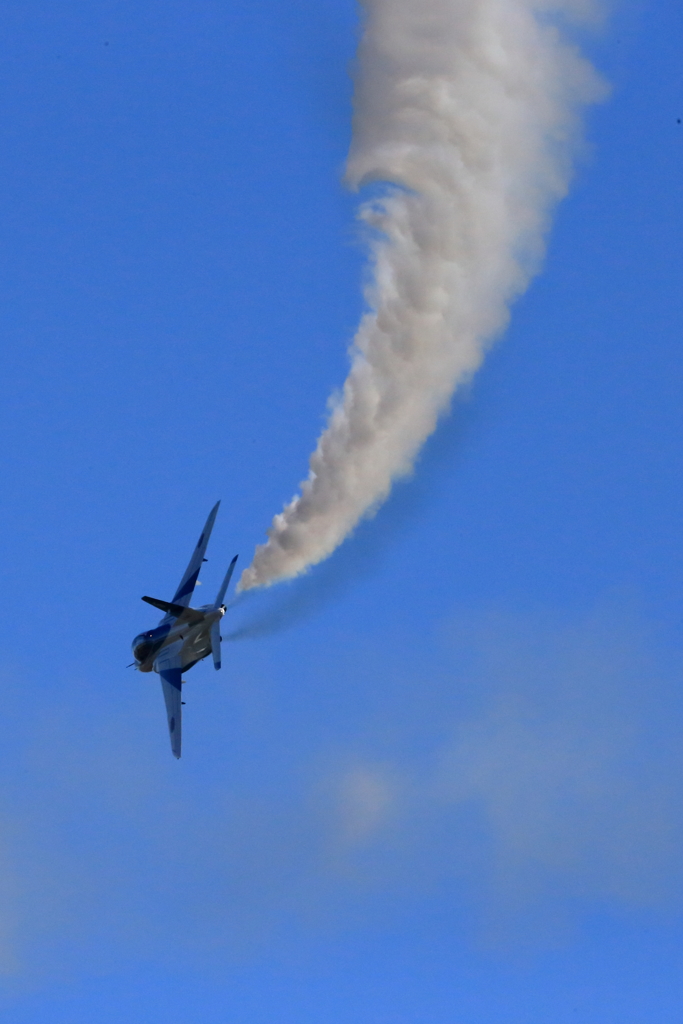 入間基地航空祭2017 ブルーインパルス展示飛行(第1区分)(34)