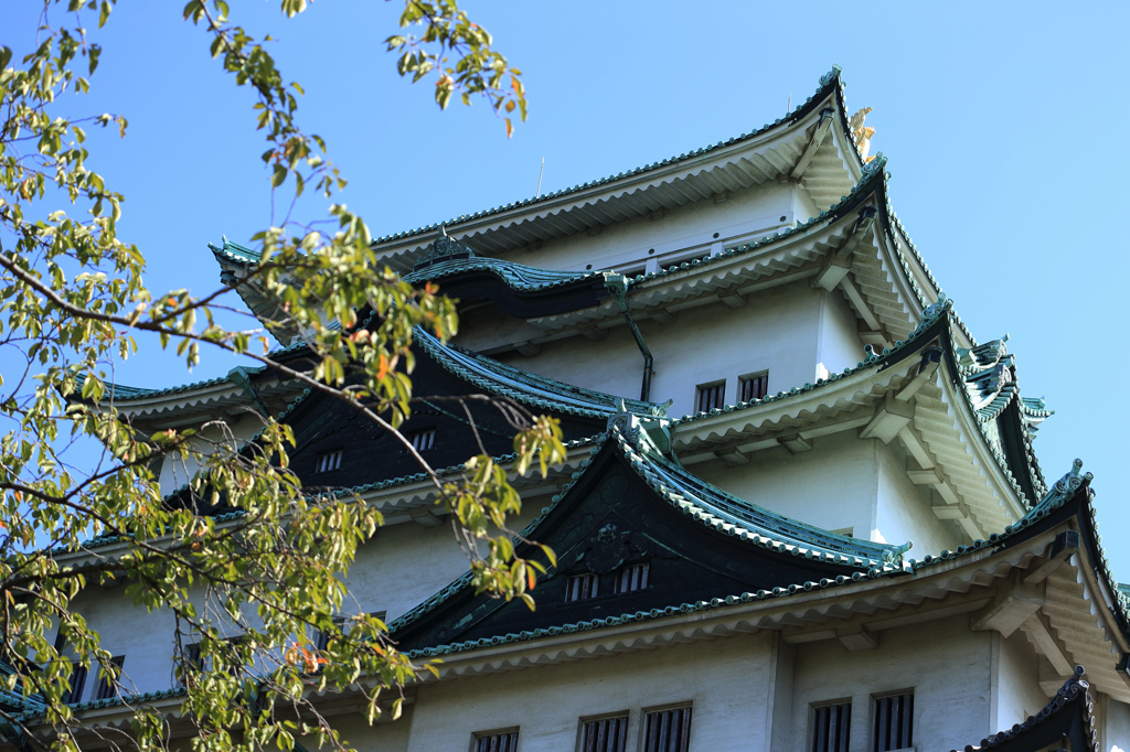 名古屋城