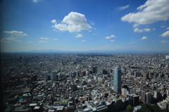 東京の秋空