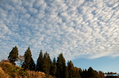 秋の雲