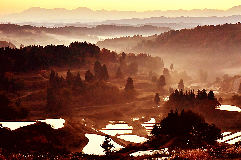 里山風景－Ⅲ