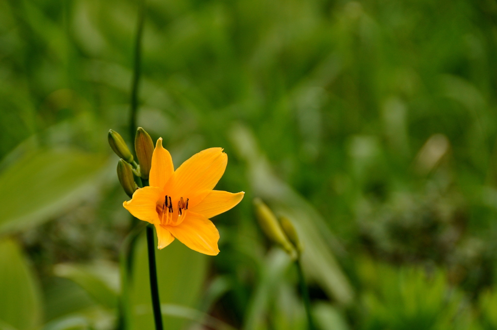File_070